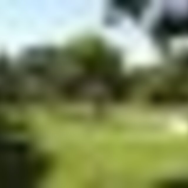 Tiny thumb dsc 0024 1 640 640