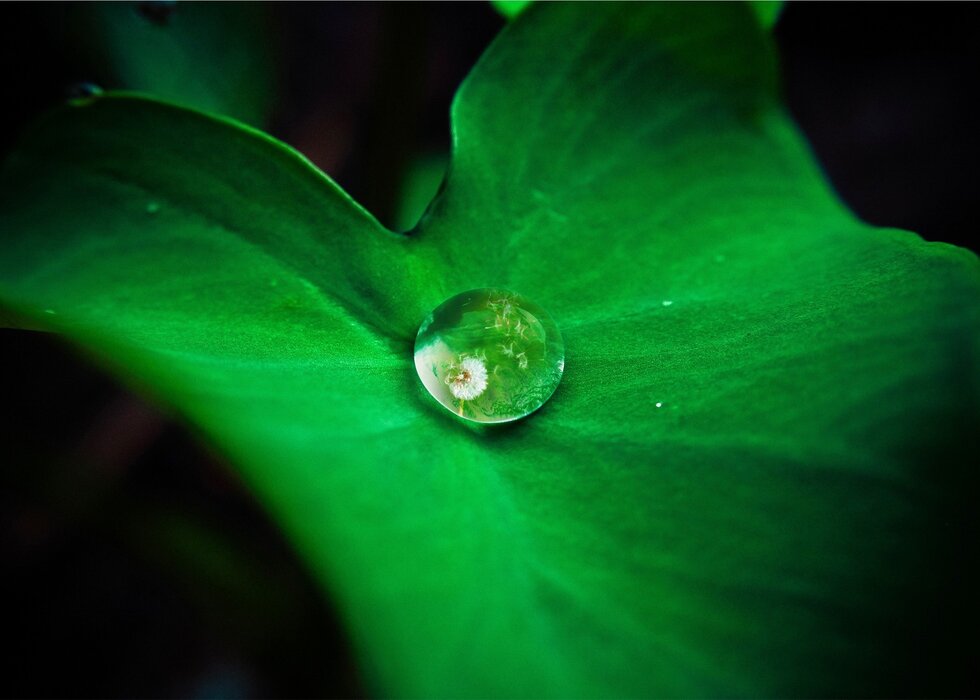 A Lorem ipsum dolor sit amet consectetur adipiscing elit metus at eleifend ultrices, mi augue pul...