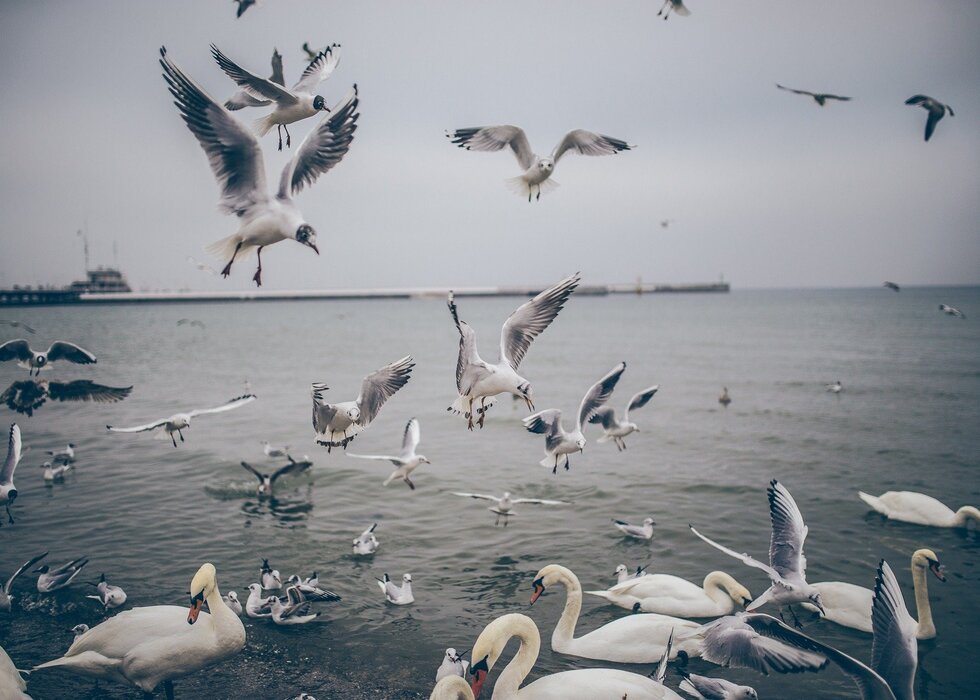 A Lorem ipsum dolor sit amet consectetur adipiscing elit metus at eleifend ultrices, mi augue pul...