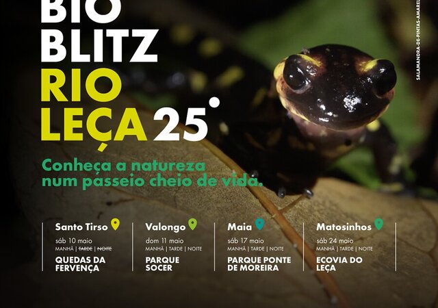 evento_bioblitz_1_2000_2000