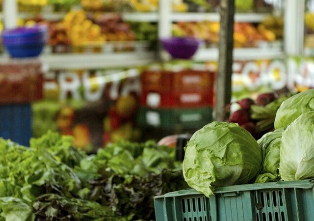 dest_alimentos_2_1_2500_2500