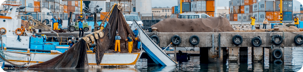 10_modified_1_980_2500