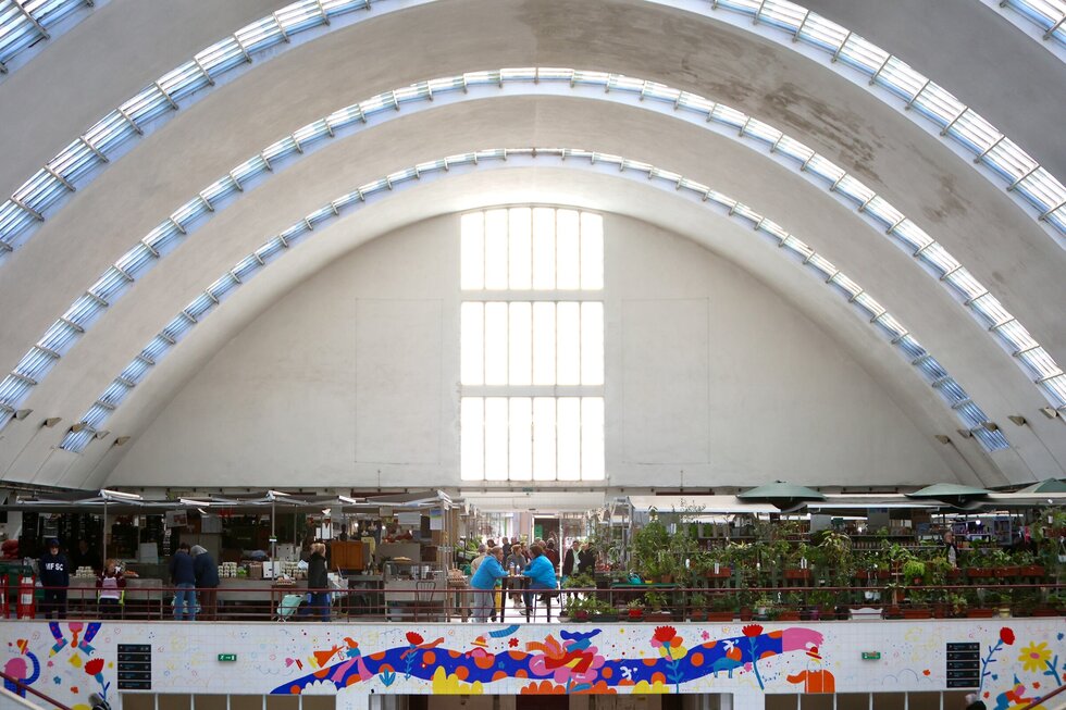 Application - Foto Grande