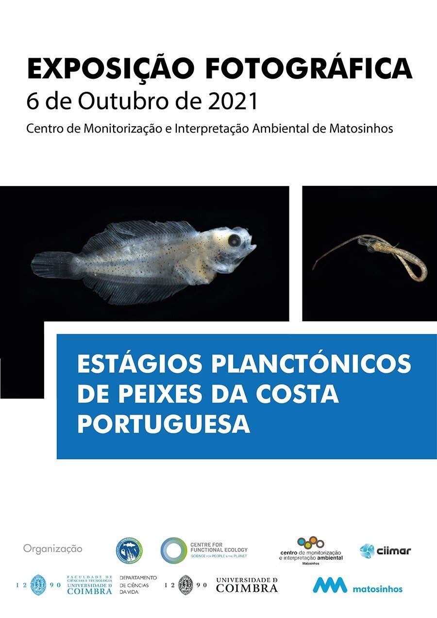 Est&aacute;dios planct&oacute;nicos de peixes da costa portuguesa