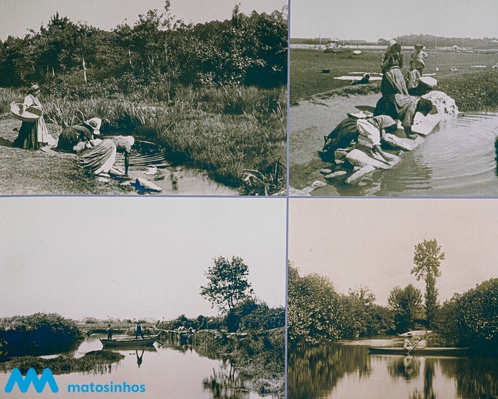 imagem_13_1_2500_2500