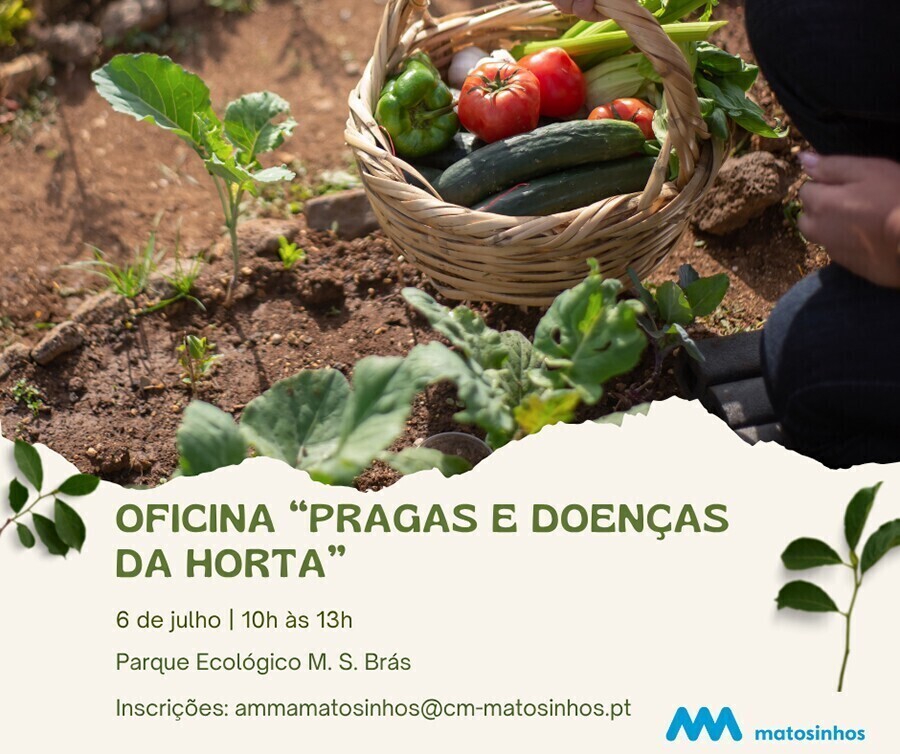 evento_pragas_e_doencas_hortas_1_2000_2000