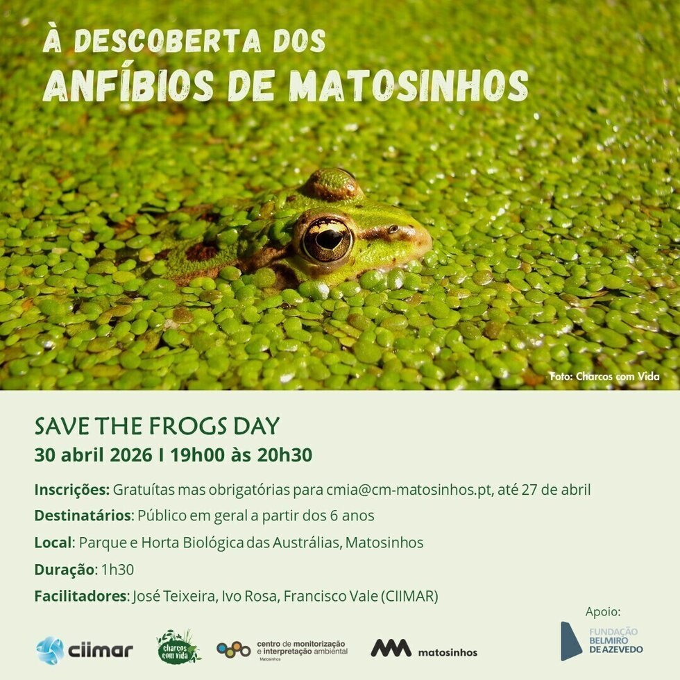 evento_save_the_frogs_day_1_2500_2500