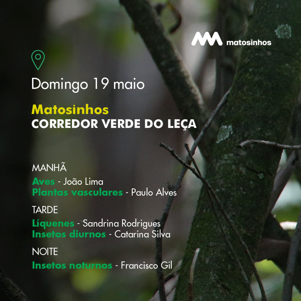 bioblitz1_1_2500_2500